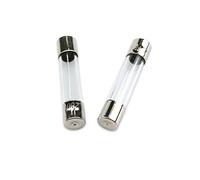 Cablaggio di protezione Fusibile for tubo di vetro da 100 pezzi 5 * 20 mm 0,1 A 0,2 A 0,5 A 0,8 A 1 A 2 A 2,5 A 3 A 4 A 5 A 6,3 A 7 A 8 A 10 A 12 A 15 A 20 A 30 A 250 V Fusibile rapido rapido (Size :