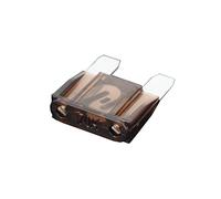 Cablaggio di protezione Fusibile grande da 10 pezzi 70A, lama for fusibili automobilistici da 32 V, inserto for l'assicurazione dei fusibili L'assicurazione del fusibile delle luci del pezzo della lam