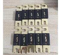 Cablaggio di protezione fusibili 10 PZ/LOTTO 80A 100A 150A 200A 250A 300A Placcato Oro Car Audio Auto Fusibile ANL Fusibile fusibili (Size : 10pcs 100A)