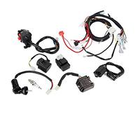 Cablaggio Elettrico ATV con CDI, Accessorio Completo per Quad e Moto