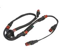 Cablaggio elettrico iniettore pompa AKUSAN BA60072
