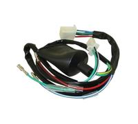 Cablaggio motore autonomo Per 50cc 110cc 125cc 140cc 150cc 160cc Cablaggio telaio Kick Start Pit Dirt Bikes Cablaggio motore