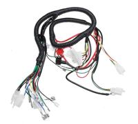 Cablaggio motore autonomo Per ATV QUAD 150/200/250CC Cablaggio motore