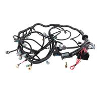 Cablaggio motore autonomo Per LS3 LS2 TR6060 T56 58X 6.2L 2006-2015 Motore cablaggio autonomo Drive By Wire Cablaggio motore