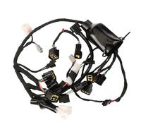 Cablaggio motore autonomo Per Surron Lightbee S/X Set linee rilevamento guasti cablaggio Per motocicletta elettrica, parti elettriche Per bici da pit bike Kit cablaggio completo(Wiring harness)