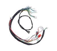 Cablaggio motore autonomo Set completo per controller telaio a filo dello statore cablaggio di avviamento motore elettrico motociclo ATV Per 50 cc Cablaggio motore
