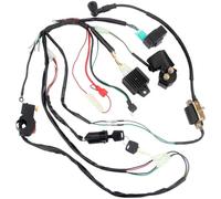 Cablaggio motore Per 50cc 70cc 90cc 110cc Cablaggio Kit bobina di accensione CDI Circuito completo Per veicolo quad elettrico ATV Cablaggio motore autonomo