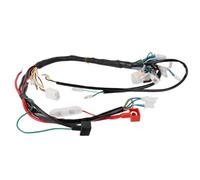 Cablaggio motore Per veicoli fuoristrada a quattro ruote Linea di assemblaggio di motociclette Cablaggio veicolo Accessori adatti Per kart Cablaggio motore autonomo(B 50-125CC)