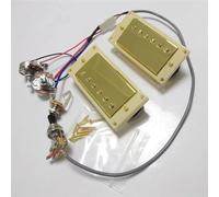 Cablaggio Per Chitarra Pickup Humbucker Professionale Per Chitarra Con Cablaggio 1V1T(Type2)