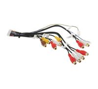 Cablaggio RCA A 24 Pin Per Auto Audio Per Pioneer AVIC-F900BT AVIC-F90BT