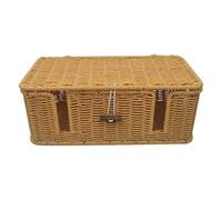Cable Management Box, Handwoven Wire Storage Case, 4 Open Slots Imitation Rattan Cord Organizer for TV Wires, Computer, Router, USB Hub, Under Desk Power Strip
