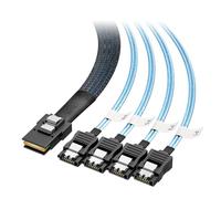Cable Matters Cavo interno da Mini SAS a SATA da 1 m