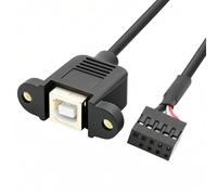 cablecc USB 2.0 9 pin 10 pin connettore scheda madre a USB standard tipo B femmina cavo di estensione con dadi per montaggio a pannello