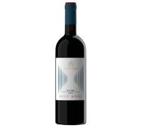 Caccia al Piano Ruit Hora Bolgheri DOC Rosso 2023 0,75 l