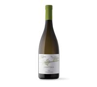 CACCIA AL PIANO VERMENTINO TOSCANA IGT GROTTAIA 2023 0,75 LT GRVE23206B