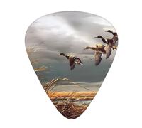 Caccia Volare Anatre Selvatiche Plettri Chitarra 12 Pezzi Per Ukulele Basso Accessori Strumenti