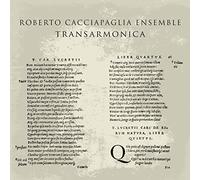 Cacciapaglia Ensambl - Trans-Armonica / Live At Afterforum Fest