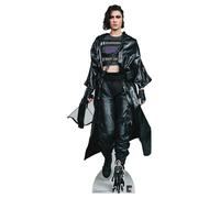 Cacciatrice Helena Bertinelli Uccelli Di Preda Lifesize E Mini Cartone Ritaglio