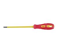 Cacciavite Piatto Completamente Isolato Draper Expert 69212 3,0 Mm X 100 Mm