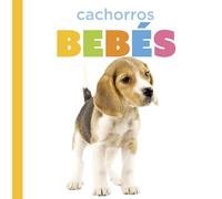 Cachorros bebés