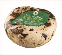 Caciotta di Pecora alle Noci Conf. da kg. 1,60/1,70