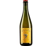 Cacique Maravilla Do Yumbel Gutiflower 2021