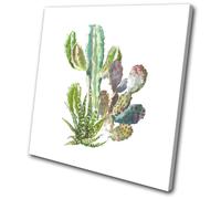 Cactus Botanical Succulent Floral SINGLE TELA parete arte foto stampa