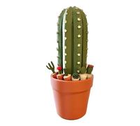 Cactus Chess Set, 3d Printed Game Board, Roll-Up Portable Play Mat, 25x15x15cm, Novelty Strategy Decor, Tabletop Display Piece, Travel Size, Home Office and Gift Use Naturally and Elegantly