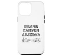 Cactus del deserto del Grand Canyon Arizona Custodia per iPhone 12 Pro Max