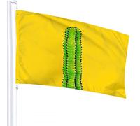 Cactus Flag 3x5 FT Pianta botanica Cactus con spine Bandiere per esterni Grandi striscioni per cortile di benvenuto Giardino domestico Cortile Prato Decor Giallo Verde