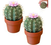 Cactus Salt and Pepper Shaker, 3D Printed Cute Mini Spice Containers, Refillable Salt and Pepper Grinder Set for Kitchen or Outdoor Use Spices