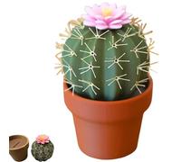 Cactus Salt and Pepper Shaker, Spikey Spices - 3D Printed Cute Cactus Salt and Pepper Grinder Set Mini Refillable Kitchen Spice Shakers (1)