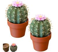 Cactus Salt and Pepper Shaker, Spikey Spices - 3D Printed Cute Cactus Salt and Pepper Grinder Set Mini Refillable Kitchen Spice Shakers (2)
