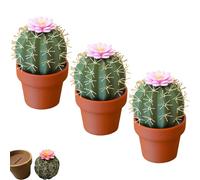 Cactus Salt and Pepper Shaker, Spikey Spices - 3D Printed Cute Cactus Salt and Pepper Grinder Set Mini Refillable Kitchen Spice Shakers (3)