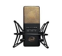 CAD Audio Microfono a condensatore E100S - grande membrana, XLR, phantom 48V, custodia e supporto