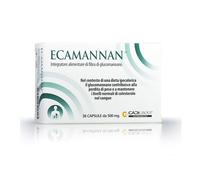 Ecamannan capsule 500mg