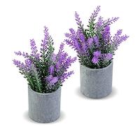 CADNLY Pianta di lavanda artificiale in vaso, fiori artificiali di lavanda finta, piante di lavanda finte in vaso, decorazione moderna con fiori di lavanda viola per bagno, camera da letto, cucina,