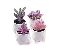 CADNLY Set di piante grasse finte, piante grasse artificiali, da scrivania, da donna, realistiche, in vasi di ceramica, mini decorazioni viola per camera da letto, bagno, ufficio, scaffale, confezione