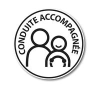 cadox - Disco Guida accompagnato - Magnetico - Giovani conduttori - Resistente ai Raggi UV, alle intemperie e ai lavaggi - Diametro 15 cm - Conforme alle normative
