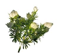 CaeorKvor Forma solare automatica delle gardenie di illuminazione del paesaggio per il giardino e il cortile con la struttura Illuminazione luminosa del paesaggio solare