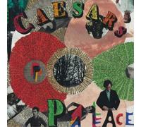 Caesars Youth Is Wasted On the Young (Vinyl LP) 12" Album