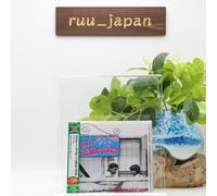 CAETANO VELOSO & GAL COSTA-DOMINGO-JAPAN CD Ltd/Ed Nuovo