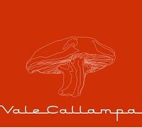 Cafe Tacuba - Vale Callampa