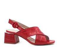 CafèNoir Sandalo Rosso GLF124