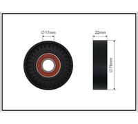 CAFFARO 02-98 Rullo tenditore, Cinghia Poly-V per CHEVROLET,OPEL,SAAB