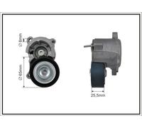 CAFFARO 100500SP Braccio tenditore, Cinghia Poly-V per CITROËN,FIAT,LANCIA,PEUGE