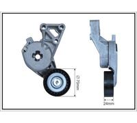 CAFFARO 101697SP Braccio tenditore Cinghia Poly-V Ø70mm per VW GOLF VI (5K1)