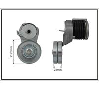 CAFFARO 106699SP Braccio tenditore, Cinghia Poly-V per SEAT,SKODA,VW
