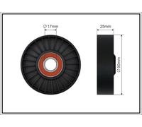 CAFFARO 12-99 Rullo tenditore, Cinghia Poly-V per OPEL,SAAB