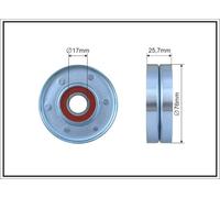 CAFFARO 162-00 Galoppino/Guidacinghia, Cinghia Poly-V per AUDI,SKODA,VOLVO,VW
